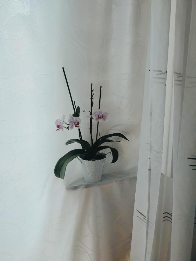 Fami Superior One Bedroom Apartment Rijeka Zewnętrze zdjęcie
